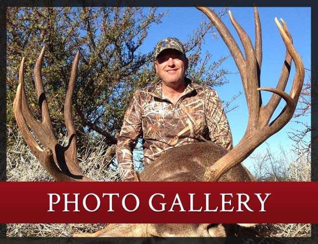 Wapiti Ridge Outfitters Photo Gallery Wapiti Ridge Outfitters Photo Gallery